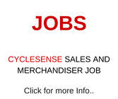 Sales and Merchandiser Job