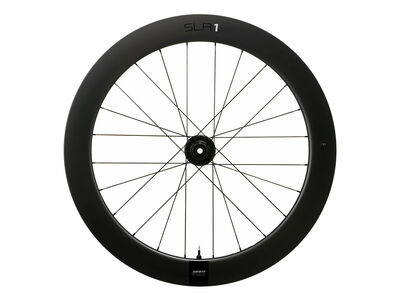 Giant SLR 1 65 Disc Rear Wheel