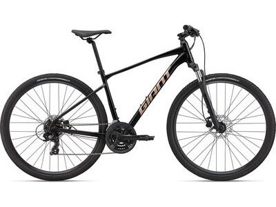 Giant Roam 4 Disc 2022