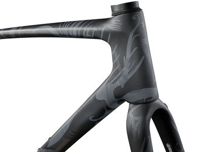 Giant TCR Advanced SL Disc Frameset click to zoom image