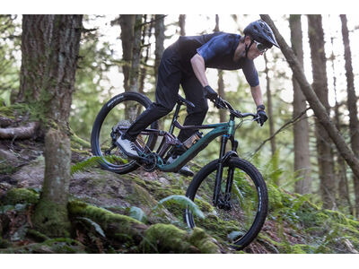 Giant Reign 2 click to zoom image