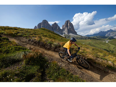 Giant Trance Advanced E+ 1 Dusted Peri click to zoom image