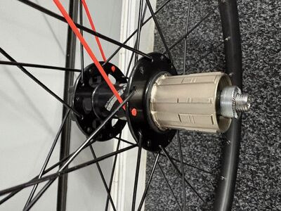 Frog Bikes Quando Cassette Hub Black Rim Neon Red Spoke click to zoom image
