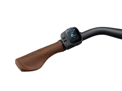 Liv Allure E+2 click to zoom image