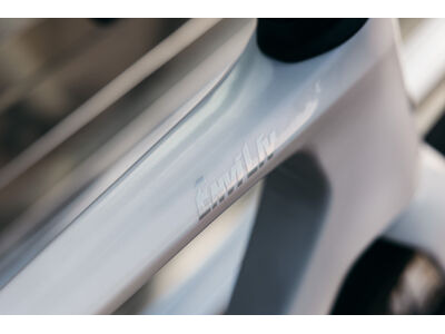 Liv EnviLiv Advanced SL 0-Red click to zoom image