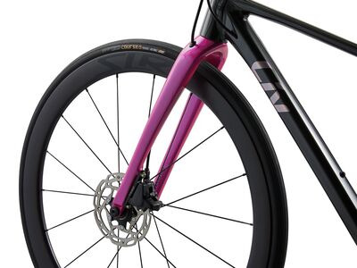 Liv Liv Seek 1 click to zoom image