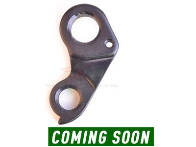 Wheels Manufacturing Replaceable derailleur hanger/dropout 303