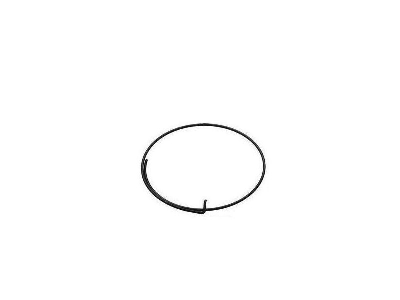 Campagnolo Pawl Spring for Freehub FH-RE114 - Single click to zoom image