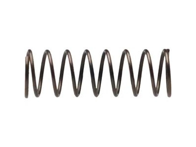 Campagnolo Pawl Spring for Freehub RE014 