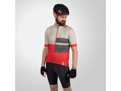 Endura FS260 Mens Bibshorts Grey click to zoom image