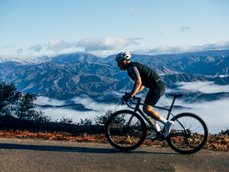 Giant Road Bikes