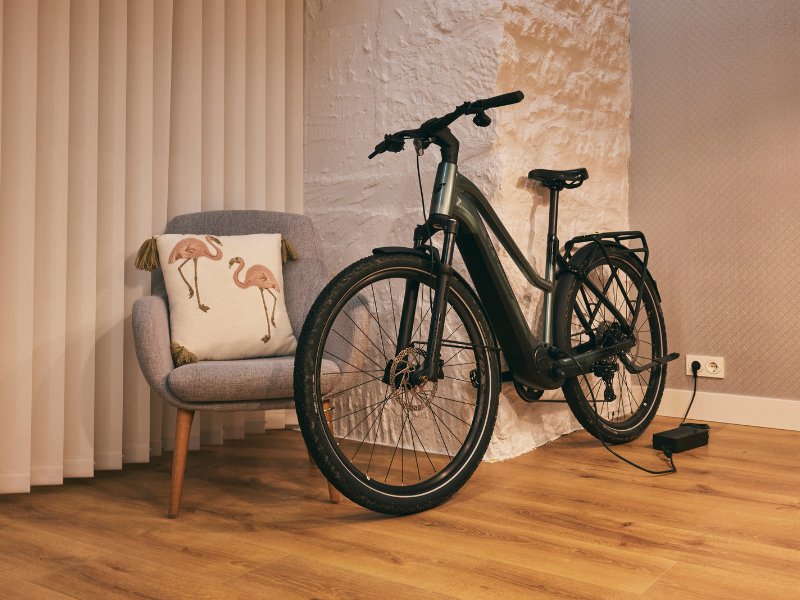 Liv Electric Bikes