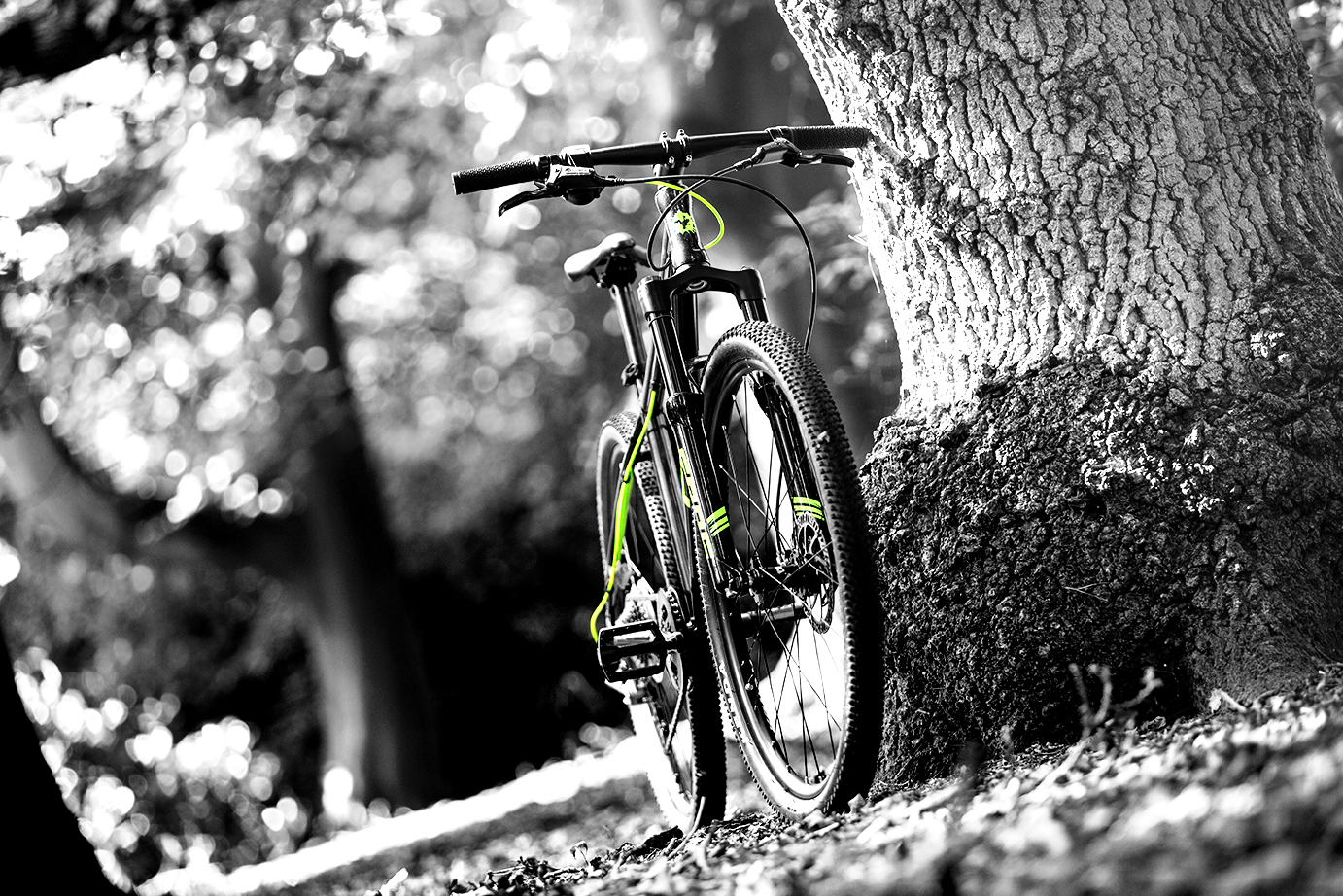 frog 72 mountain bike