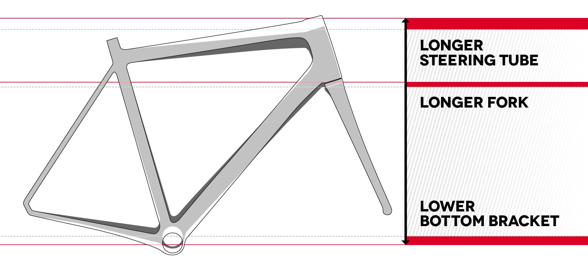 Paralane geometry