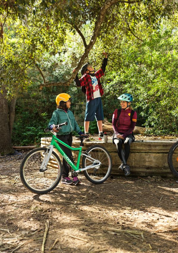 lightweight kids' bikes