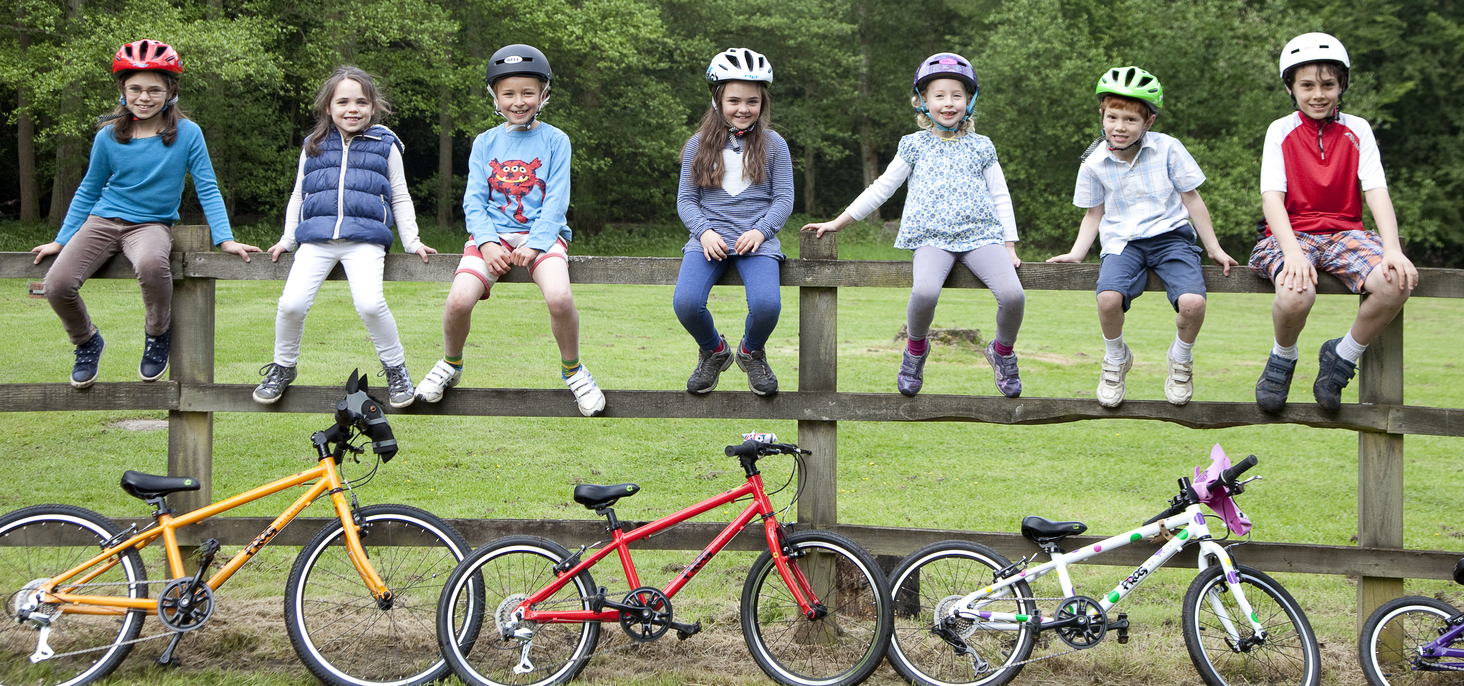 Frog bikes against a fence